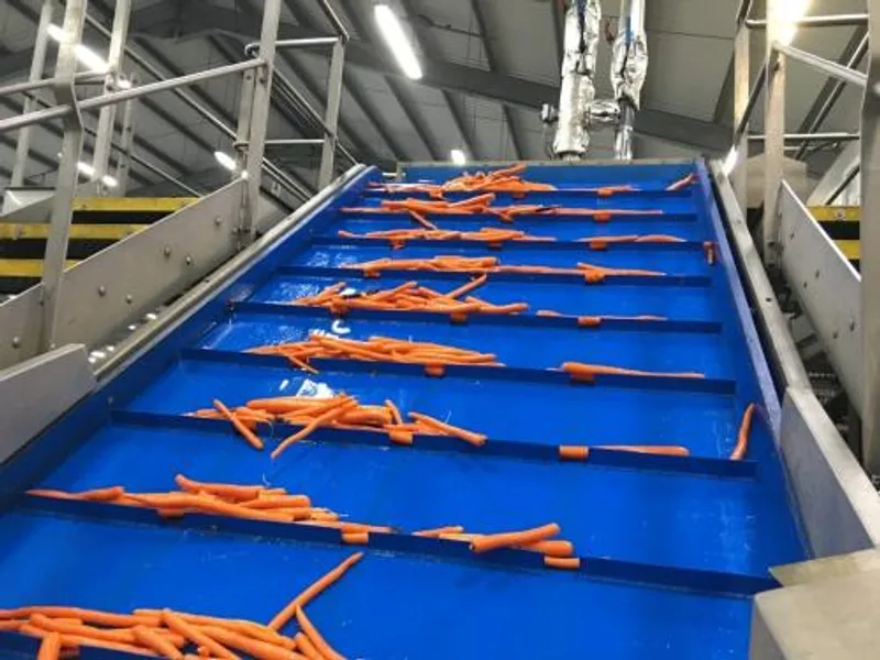 Correias com Acessórios